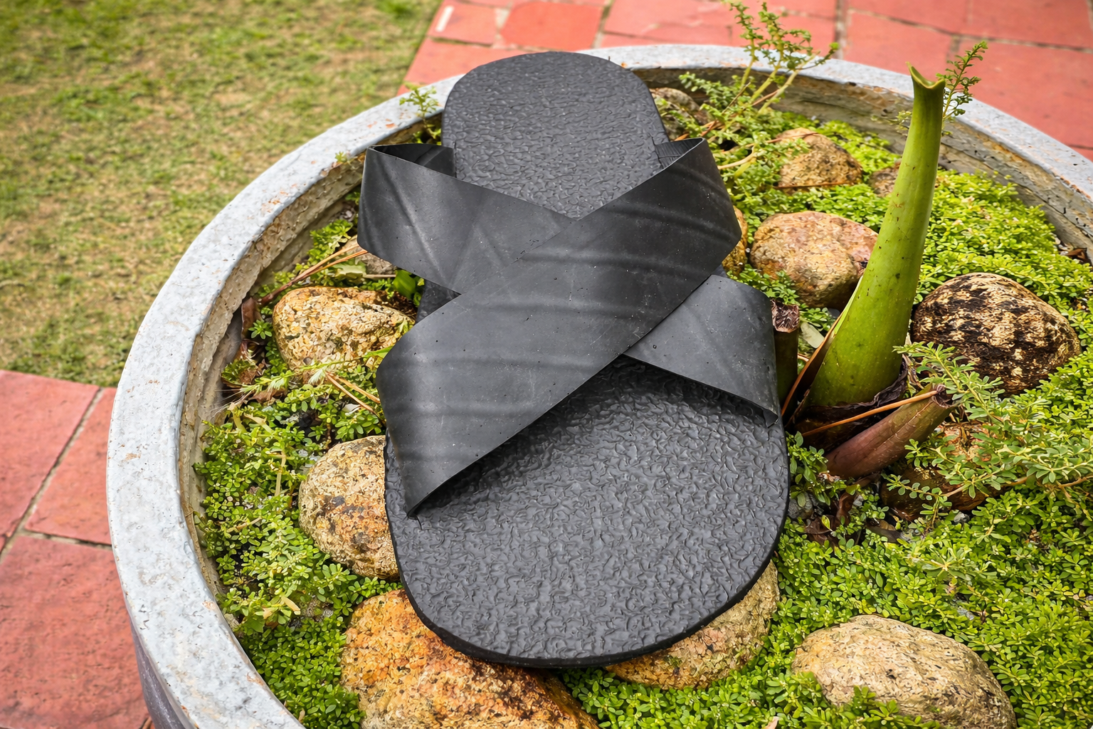 EcoSlides Prototype C